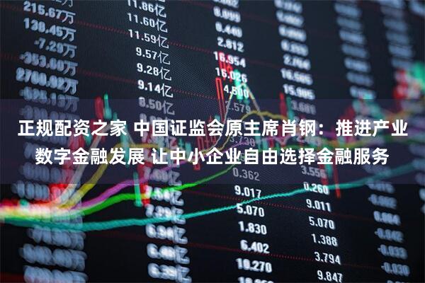 正规配资之家 中国证监会原主席肖钢：推进产业数字金融发展 让中小企业自由选择金融服务